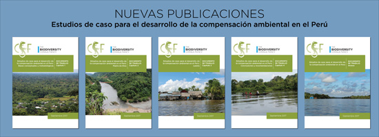 Peru compensation publications