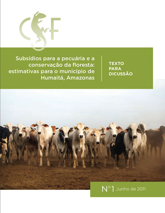 Subsidio Final Report cover