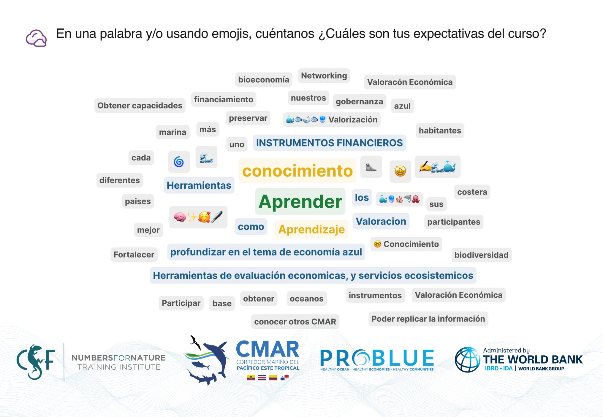 Nube de expectativas