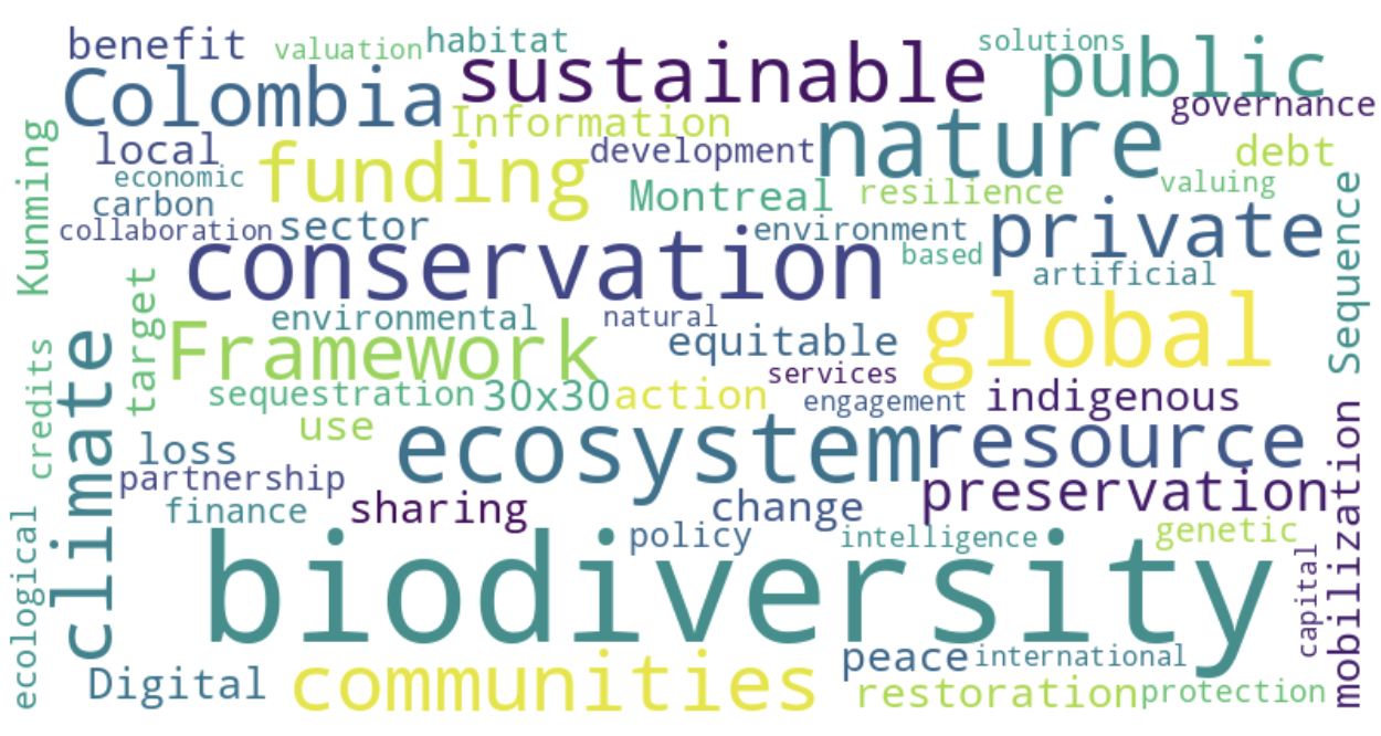 COP16 Word Cloud